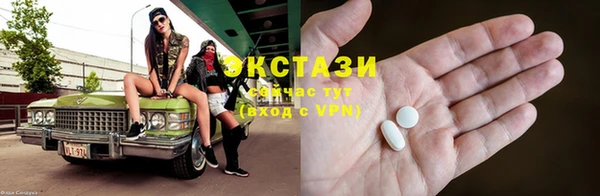 стаф Дмитровск