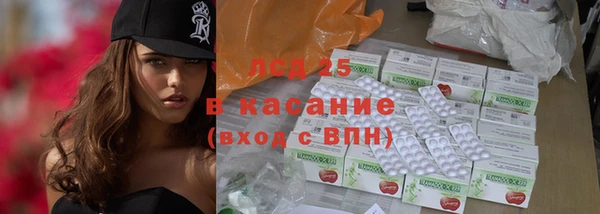 стаф Дмитровск