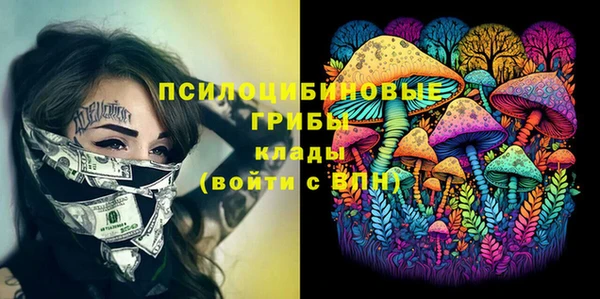 стаф Дмитровск