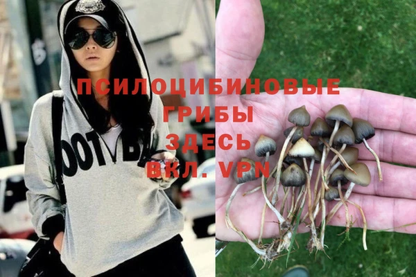 2c-b Дмитриев