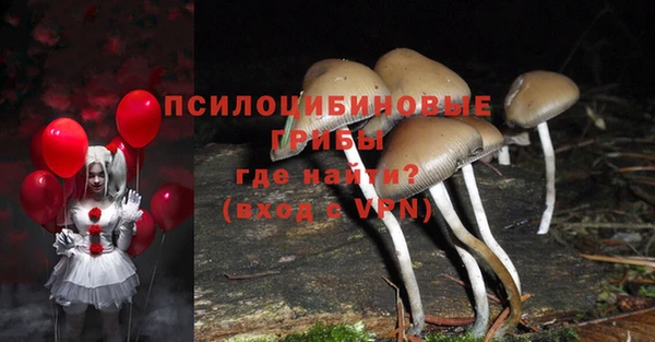 стаф Дмитровск