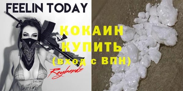 стаф Дмитровск