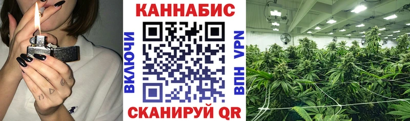 Шишки марихуана Bruce Banner  Купить закладки  Павловский Посад 